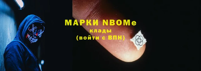 стаф Покачи