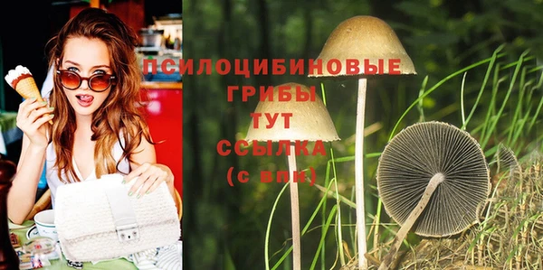 прущие крисы Покров